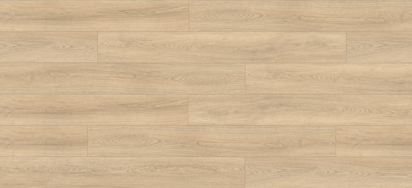 GLU PRO, Glue Down Vinyl Plank LVT Flooring, 22 mil, 3mm 37.333 Sq Ft/Box Sycamore